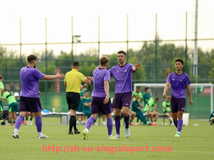 杏彩体育-法甲外援政策的最新变化及对联赛影响