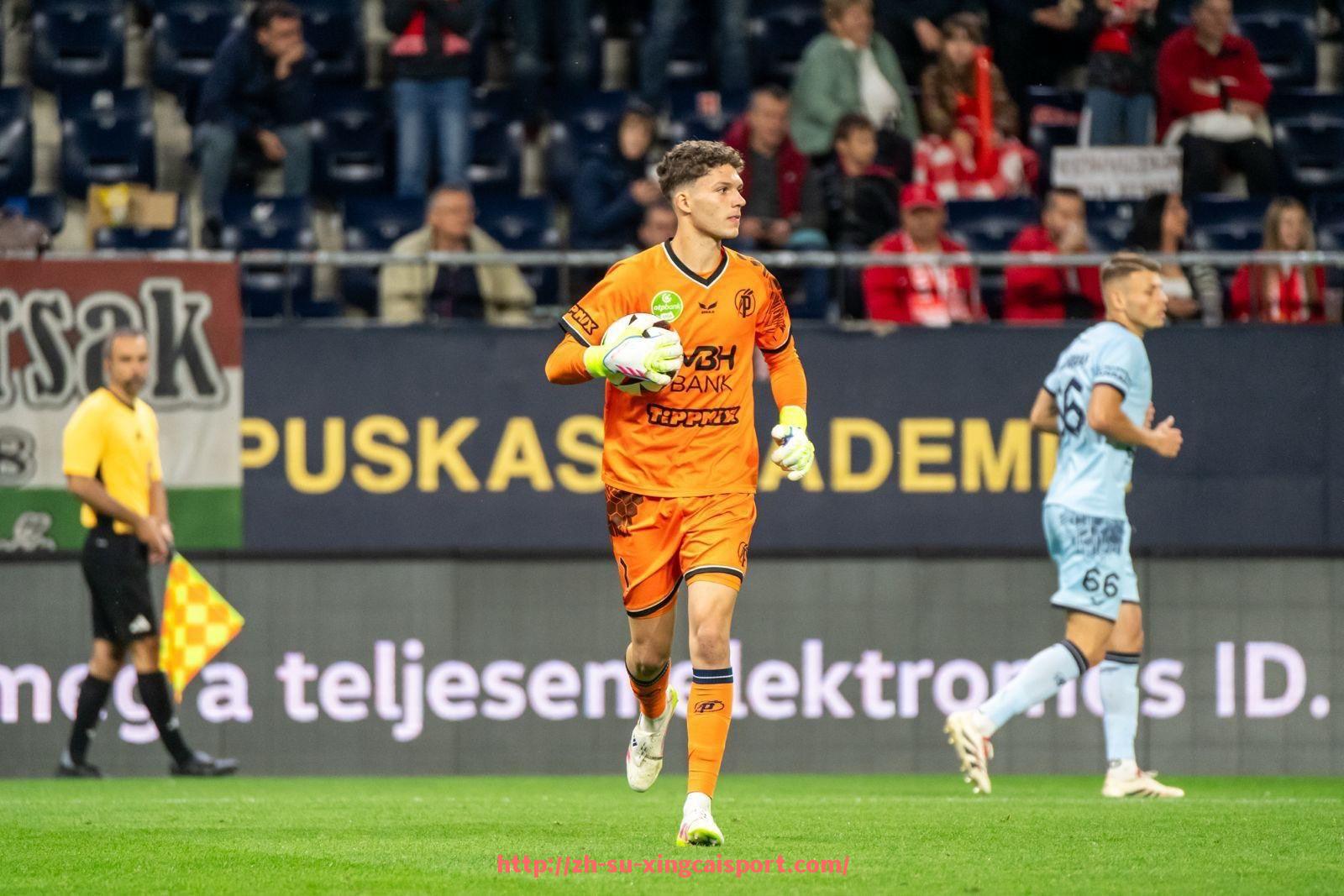 杏彩体育-篮球运动员力量和速度的综合训练方案及周期安排建议