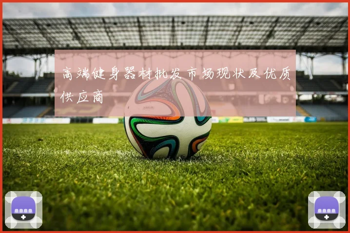 高端健身器材批发市场现状及优质供应商
