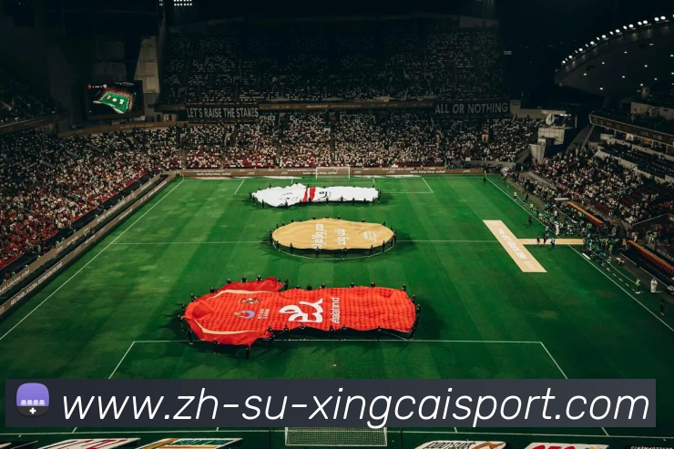 杏彩体育平台生态图