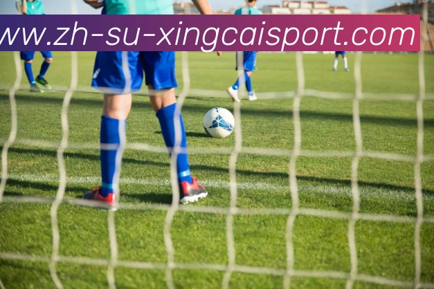 杏彩体育APP 封面图