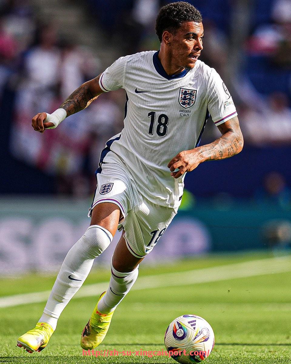 杏彩体育-为何西甲部分比赛没有视频直播？转播限制全解析