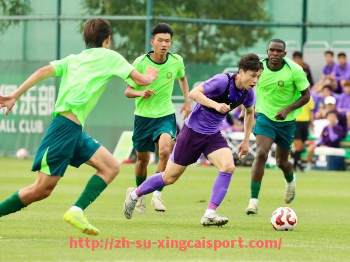 杏彩体育-德甲中立球迷最支持哪些球队？数据与原因揭晓