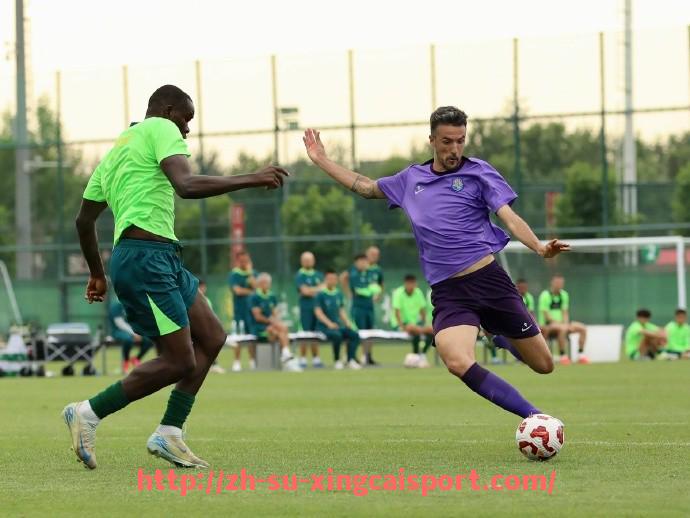 杏彩体育-英超最佳球员孙兴慜：亚洲骄傲的崛起之路