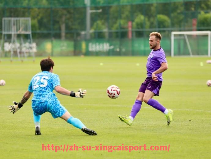 杏彩体育-哪支球队最有可能阻挡拜仁卫冕德甲冠军？竞争格局分析